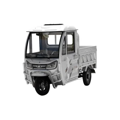 TRICICLU ELECTRIC CARGO VOINICU C: GRI INCHIS - 683274 3