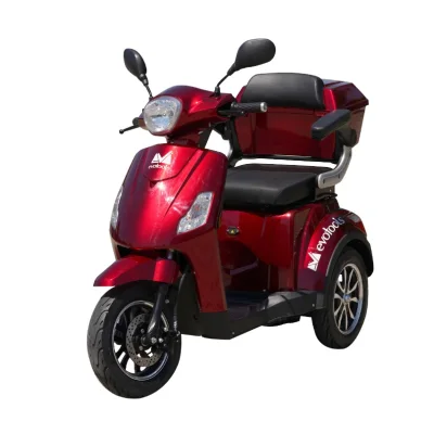 TRICICLU ELECTRIC PERSOANE HORIA C: ARGINTIU-683339 2