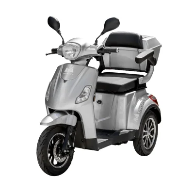 TRICICLU ELECTRIC PERSOANE HORIA C: ARGINTIU-683339 1